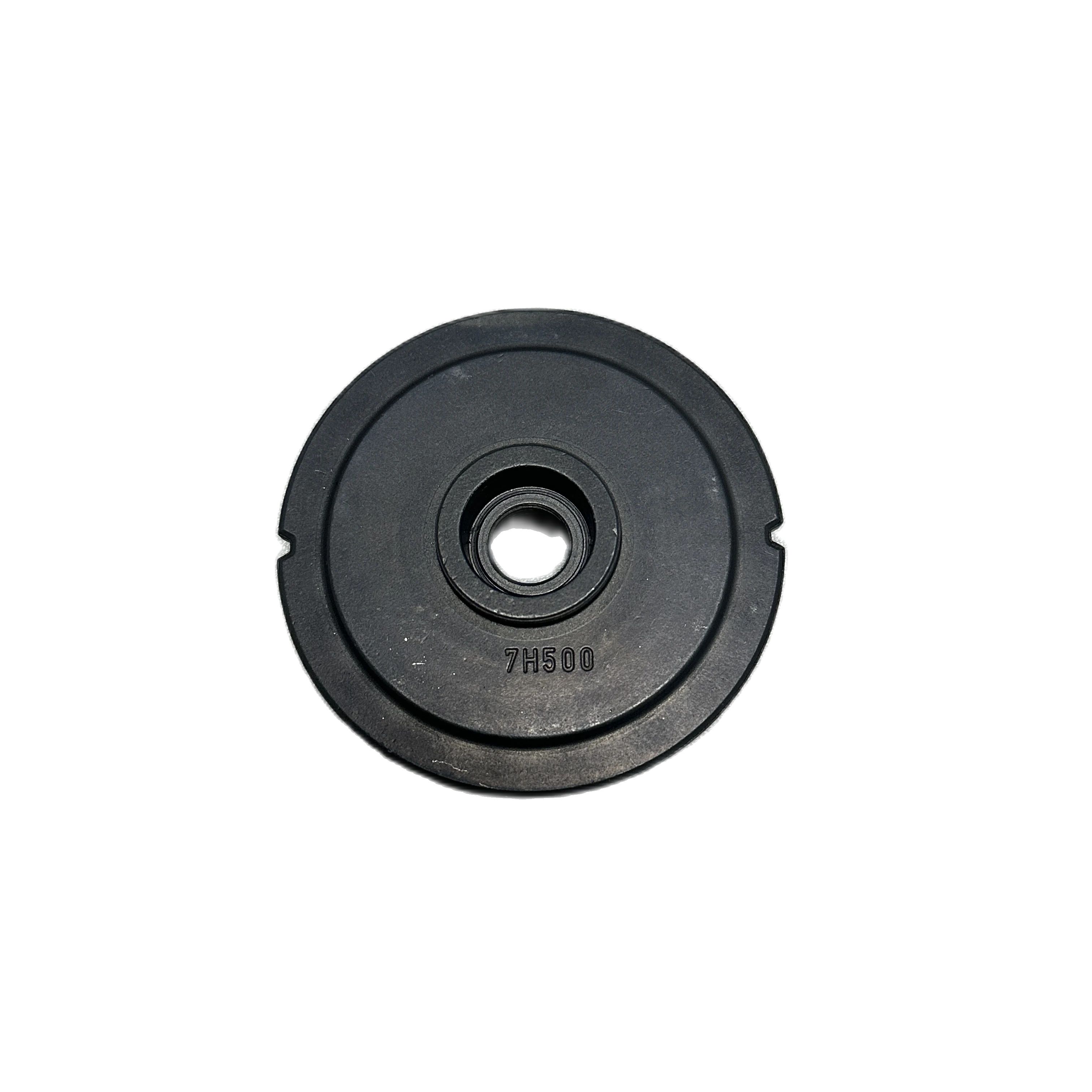 30750136 Pignone Frizione Gene - Sprocket recensione e prezzo